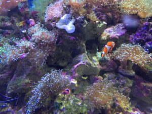 IMG_0140