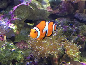 IMG_0141